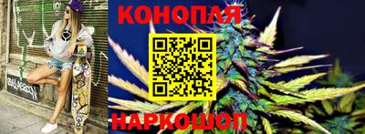 гидра Лесосибирск
