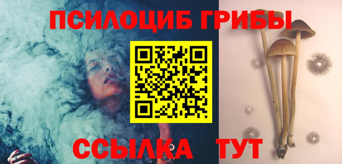 Галлюциногенные грибы Cubensis  Вход с VPN  Галлюциногенные грибы Psilocybine cubensis  Казань 