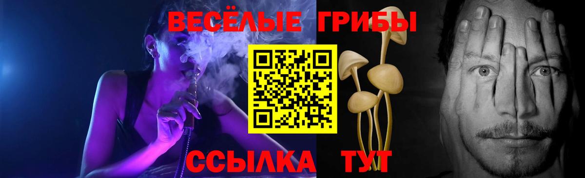 Псилоцибиновые грибы MAGIC MUSHROOMS Казань